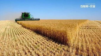 浙江來淘信息科技 互聯網+農業的六種實現途徑及農業信息咨詢新范式